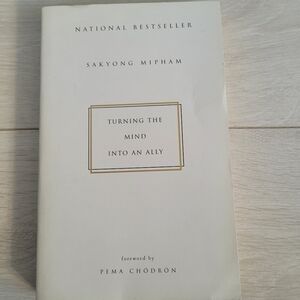 Turning the Mind Into an Ally Pema Chodron Paperback book